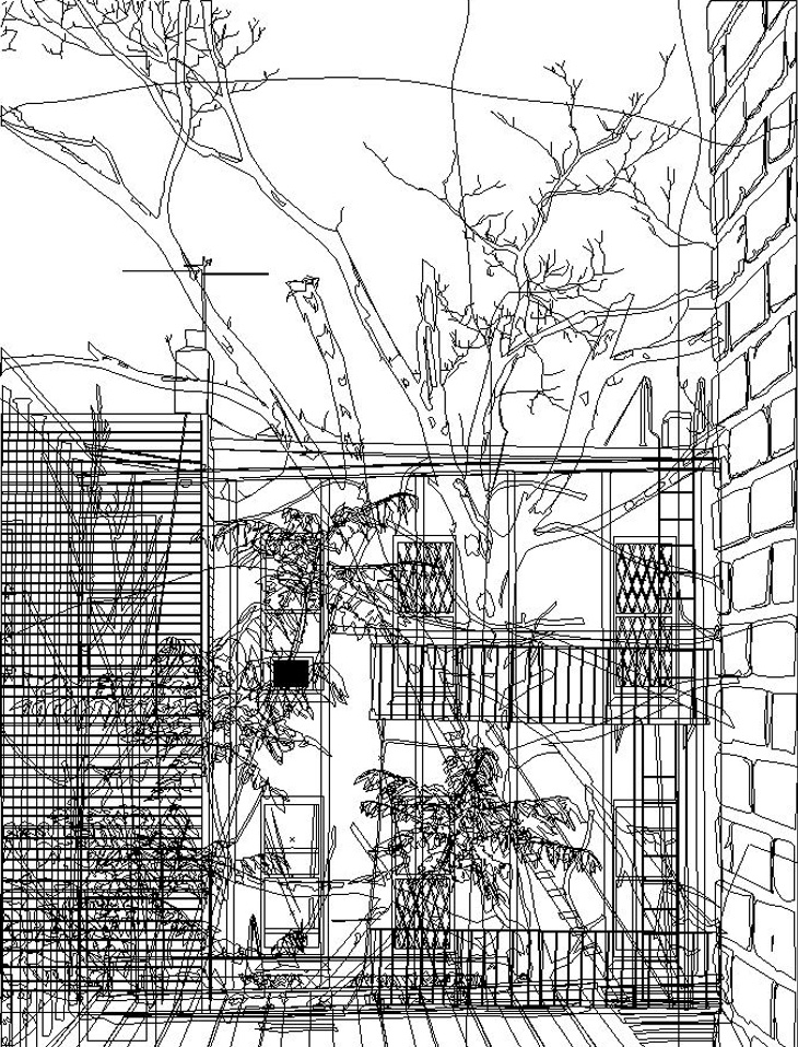 Brooklyn Landscape line work